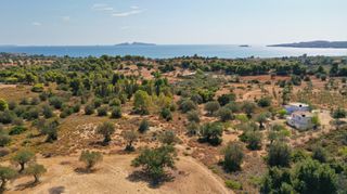Αγροτεμάχια 4.120 τ.μ. για πώληση, Αργολίδα, Κρανίδι-thumb-8