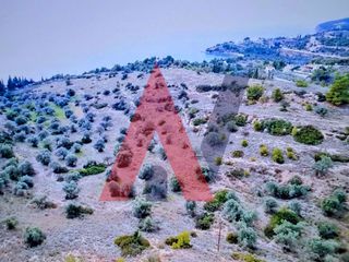 Οικόπεδο 377.575 τ.μ. προς πώληση, Πορτοχέλι-thumb-7