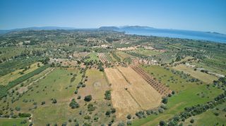 Αγροτεμάχια 13.658 τ.μ. για πώληση, Αργολίδα, Κρανίδι-thumb-8