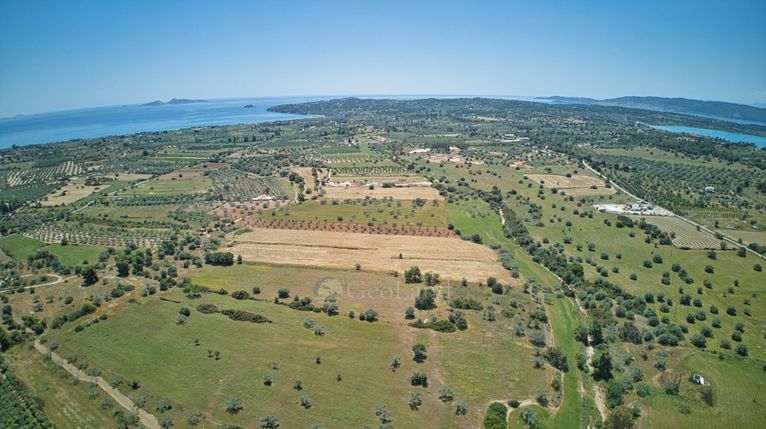 Αγροτεμάχια 13.658 τ.μ. για πώληση, Αργολίδα, Κρανίδι