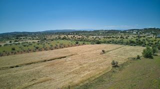 Αγροτεμάχια 13.658 τ.μ. για πώληση, Αργολίδα, Κρανίδι-thumb-5