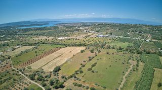 Αγροτεμάχια 13.658 τ.μ. για πώληση, Αργολίδα, Κρανίδι-thumb-12