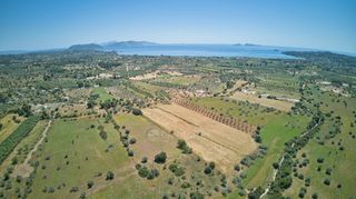 Αγροτεμάχια 13.658 τ.μ. για πώληση, Αργολίδα, Κρανίδι-thumb-10