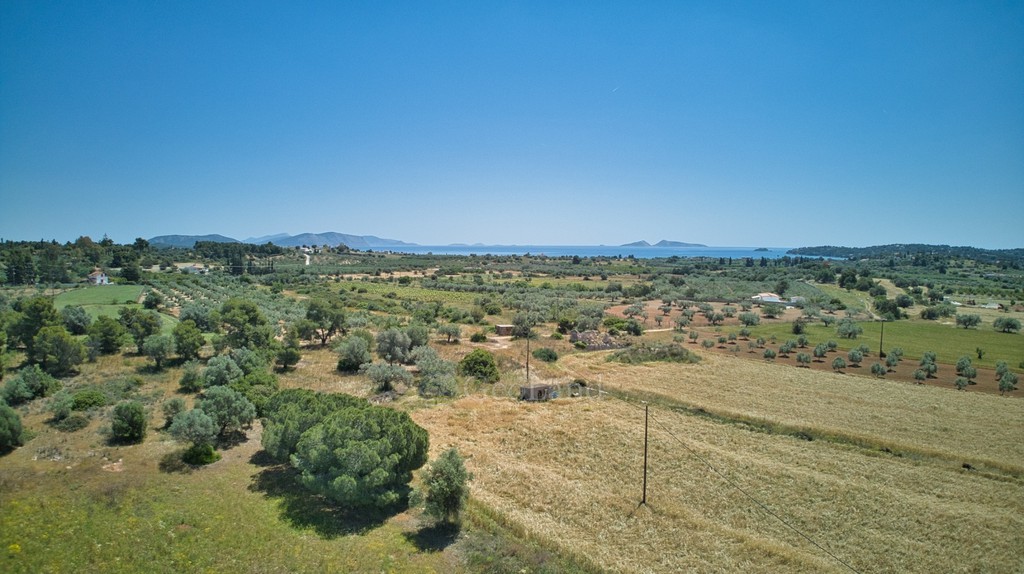 Αγροτεμάχια 13.658 τ.μ. πρός πώληση, Αργολίδα, Κρανίδι