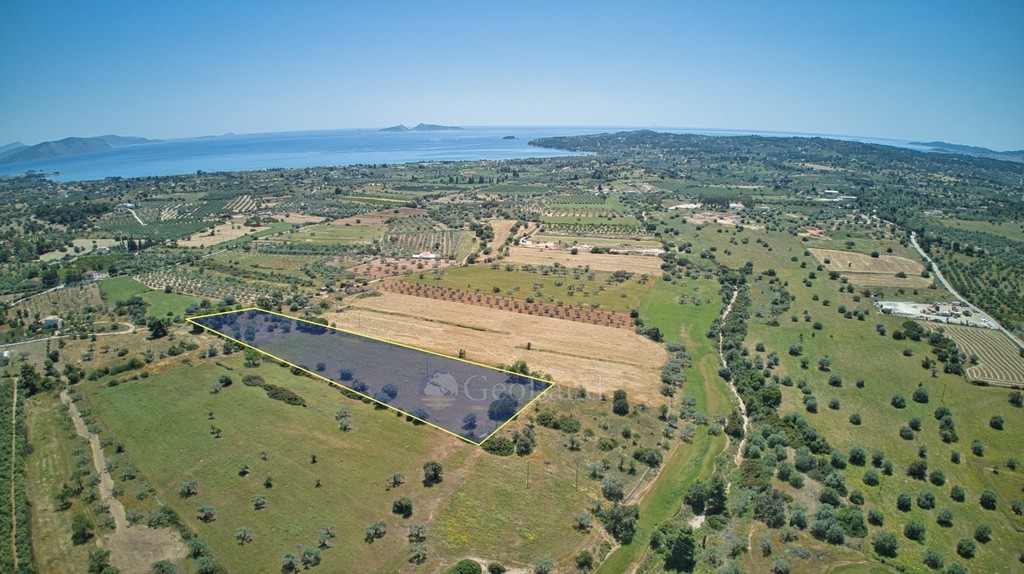 Αγροτεμάχια 13.658 τ.μ. πρός πώληση, Αργολίδα, Κρανίδι