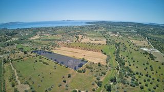 Αγροτεμάχια 13.658 τ.μ. για πώληση, Αργολίδα, Κρανίδι-thumb-4