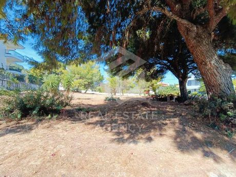 Οικόπεδο 705τ.μ. για πώληση-Μαρκόπουλο » Πόρτο ράφτη