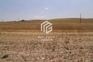 Αγροτεμάχια 106.088 τ.μ. για πώληση