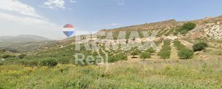 Οικόπεδο 25.000 τ.μ. για πώληση