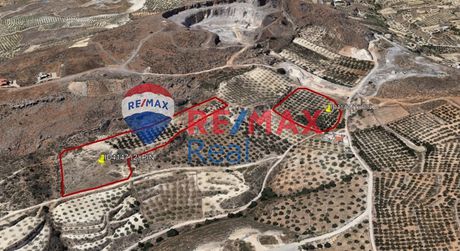Οικόπεδο 25.000τ.μ. για πώληση-Γούβες » Ελιά