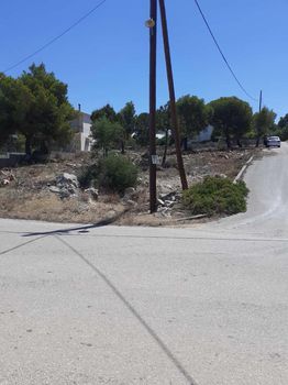 Οικόπεδο 1.000τ.μ. για πώληση-Μαλεσίνης