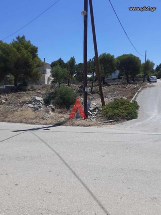 Οικόπεδο 1.000 τ.μ. για πώληση, Φθιώτιδας, Μαλεσίνης