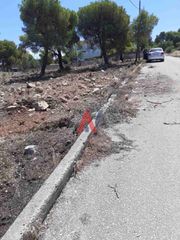 Οικόπεδο 1.000 τ.μ. για πώληση, Φθιώτιδας, Μαλεσίνης-thumb-2