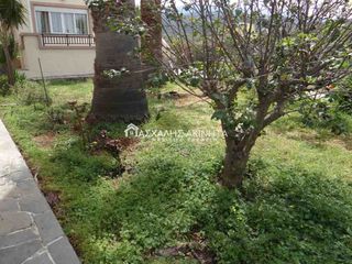 Studio / γκαρσονιέρα 45 τ.μ. για ενοικίαση, Ν. Λασιθίου, Βραχάσι-thumb-37