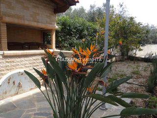 Studio / γκαρσονιέρα 45 τ.μ. για ενοικίαση, Ν. Λασιθίου, Βραχάσι-thumb-38