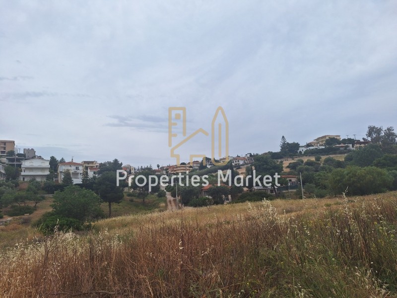 Οικόπεδο 402 τ.μ. πρός πώληση, Αττική - Υπόλοιπο, Ανάβυσσος