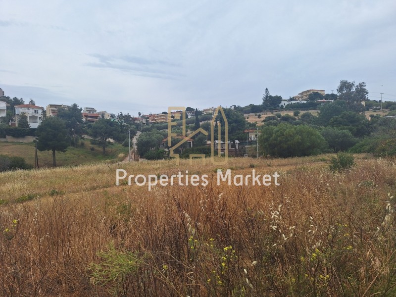 Οικόπεδο 402 τ.μ. πρός πώληση, Αττική - Υπόλοιπο, Ανάβυσσος