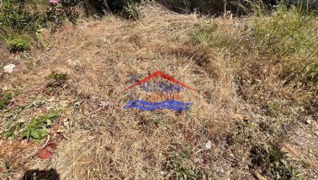 Οικόπεδο 150τ.μ. για πώληση-Αλεξανδρούπολη » Γυμνάσια