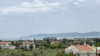 Βίλλα 280 τ.μ. για πώληση, Εύβοια, Ερέτρια-thumb-11