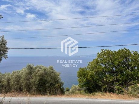 Οικόπεδο 4.421τ.μ. για πώληση-Σκόπελος » Κλήμα