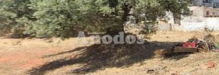 Οικόπεδο 730 τ.μ. πρός πώληση