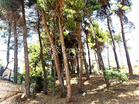 Οικόπεδο 1.010τ.μ. για πώληση-Αχαρνές » Θρακομακεδόνες