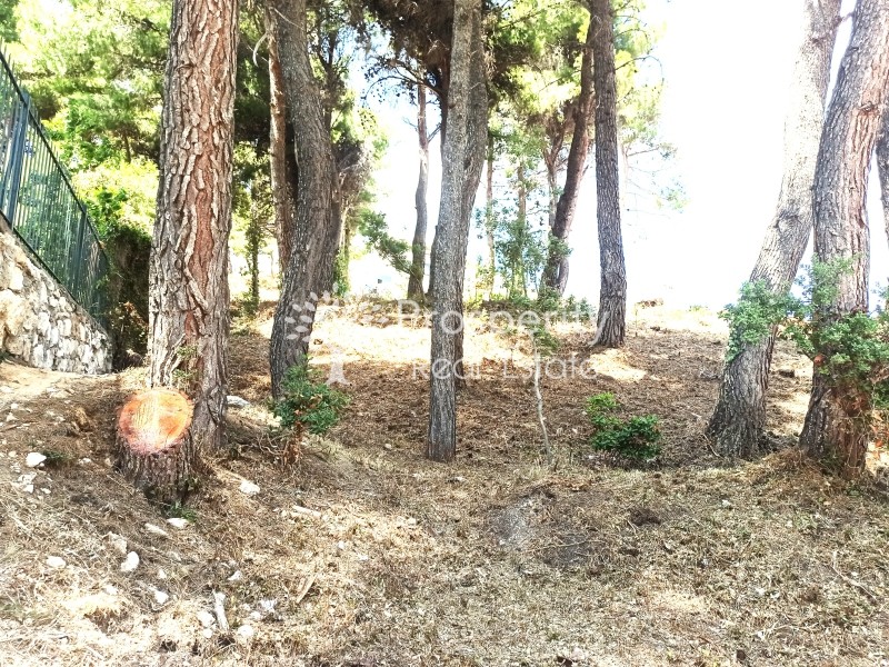 Οικόπεδο 1.010 τ.μ. πρός πώληση, Αθήνα - Δυτικά Προάστια, Αχαρνές