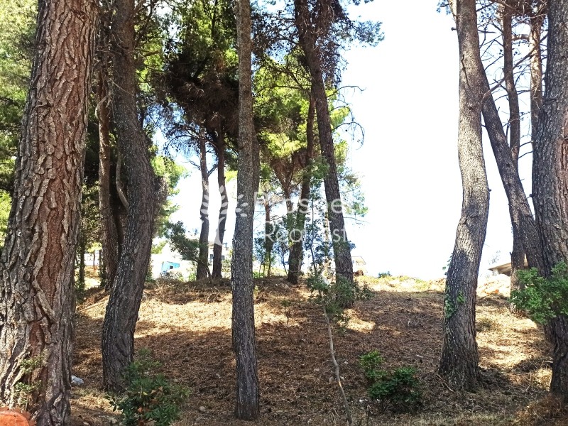 Οικόπεδο 1.010 τ.μ. πρός πώληση, Αθήνα - Δυτικά Προάστια, Αχαρνές