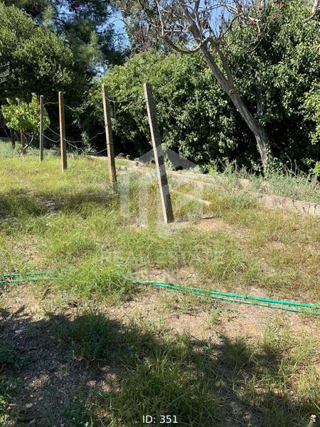 Αγροτεμάχια 734 τ.μ. πρός πώληση, Μαγνησία, Βόλος