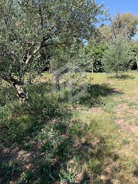 Αγροτεμάχια 734 τ.μ. πρός πώληση, Μαγνησία, Βόλος