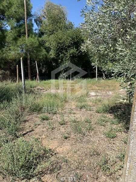 Αγροτεμάχια 734 τ.μ. πρός πώληση, Μαγνησία, Βόλος