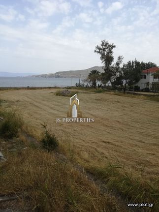 Land plot 2.000 sqm for sale, Lesvos Prefecture, Lesvos - Petra