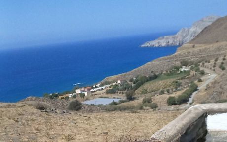 Οικόπεδο 15.000τ.μ. για πώληση-Γορτύνα » Λέντας