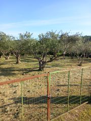 Οικόπεδο 750 τ.μ. προς πώληση, Κέντρο Βασιλικής-thumb-10
