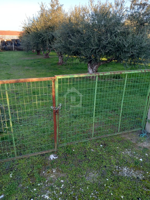 Οικόπεδο 750 τ.μ. πρός πώληση, Ν. Τρικάλων, Βασιλική