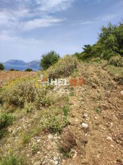 Οικόπεδο 10.734 τ.μ. προς πώληση, Πλατάνι Ρίου-thumb-35