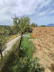 Οικόπεδο 10.734 τ.μ. προς πώληση, Πλατάνι Ρίου-thumb-23