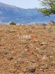 Οικόπεδο 10.734 τ.μ. προς πώληση, Πλατάνι Ρίου-thumb-32