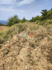 Οικόπεδο 10.734 τ.μ. προς πώληση, Πλατάνι Ρίου-thumb-42
