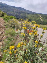 Οικόπεδο 10.734 τ.μ. προς πώληση, Πλατάνι Ρίου-thumb-9