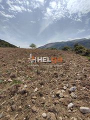 Οικόπεδο 10.734 τ.μ. προς πώληση, Πλατάνι Ρίου-thumb-14