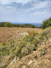 Οικόπεδο 10.734 τ.μ. προς πώληση, Πλατάνι Ρίου-thumb-41