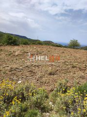 Οικόπεδο 10.734 τ.μ. προς πώληση, Πλατάνι Ρίου-thumb-38