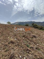 Οικόπεδο 10.734 τ.μ. προς πώληση, Πλατάνι Ρίου-thumb-17