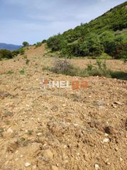 Οικόπεδο 10.734 τ.μ. προς πώληση, Πλατάνι Ρίου-thumb-16