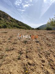Οικόπεδο 10.734 τ.μ. προς πώληση, Πλατάνι Ρίου-thumb-19