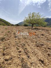 Οικόπεδο 10.734 τ.μ. προς πώληση, Πλατάνι Ρίου-thumb-18