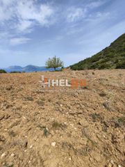 Οικόπεδο 10.734 τ.μ. προς πώληση, Πλατάνι Ρίου-thumb-27