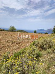 Οικόπεδο 10.734 τ.μ. προς πώληση, Πλατάνι Ρίου-thumb-37