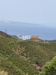 Οικόπεδο 10.734 τ.μ. προς πώληση, Πλατάνι Ρίου-thumb-3